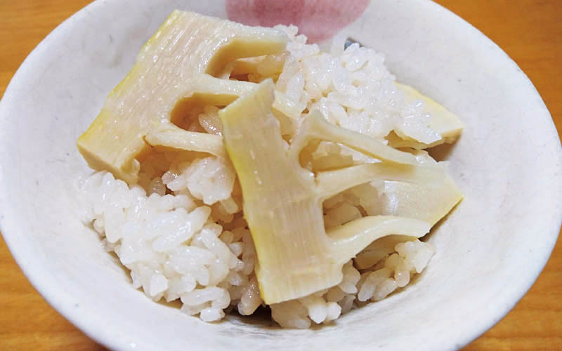 春レシピ spr_recipe_takenokogohan.jpg