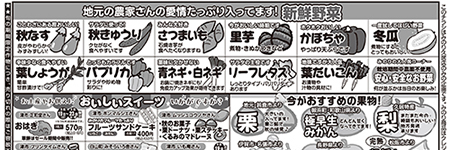 チラシ